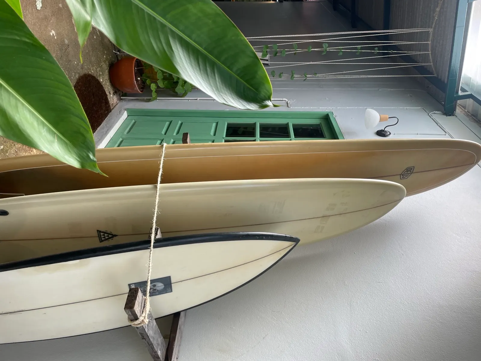 Sanctuary surfboard quiver and longboards in morning light